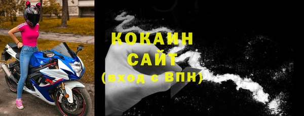 метадон Богданович
